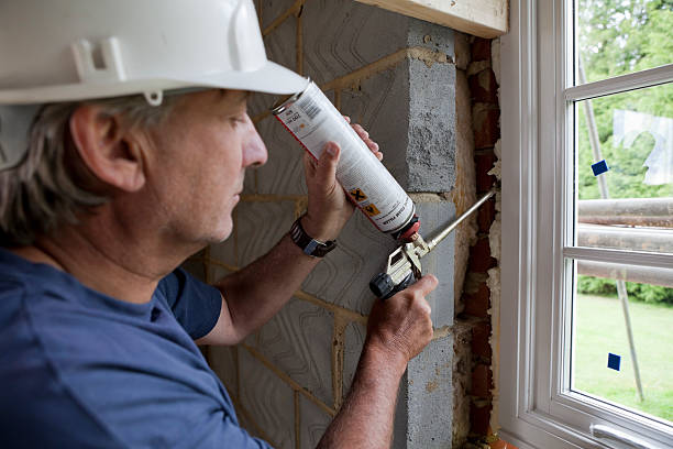 Best Wall Insulation Installation  in Cicero, IN